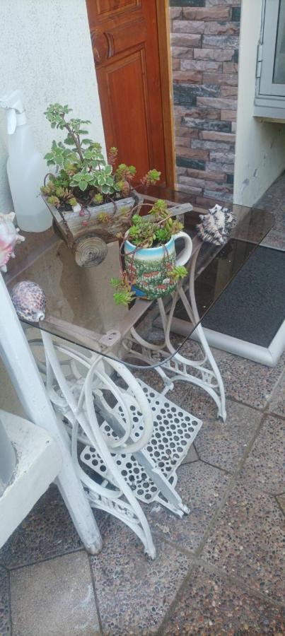La Ruta Del Jazz Bed & Breakfast Santa Cruz Bagian luar foto